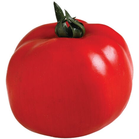 TOMATE ROJO