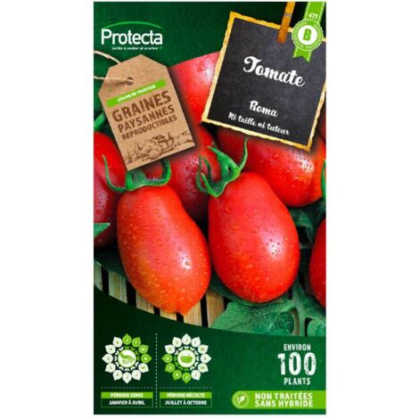 Tomate roma