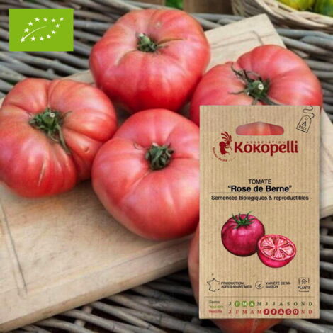Tomate Rose de Berne