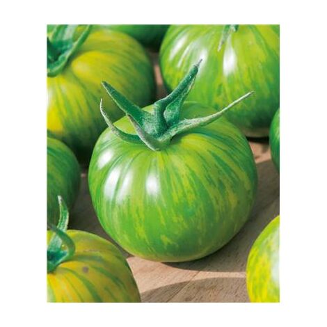 TOMATE VERTE GREEN ZEBRA - 25 SEMENCES - GRAINES DE LEGUMES