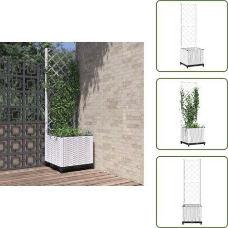 Tomate - vidaXL Jardinera con enrejado PP blanco 40x40x136 cm - Guisante