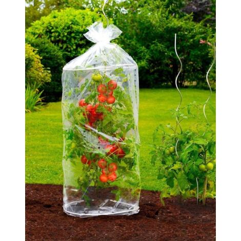 Tomaten-Reifehaube, 2 Stück, WENKO