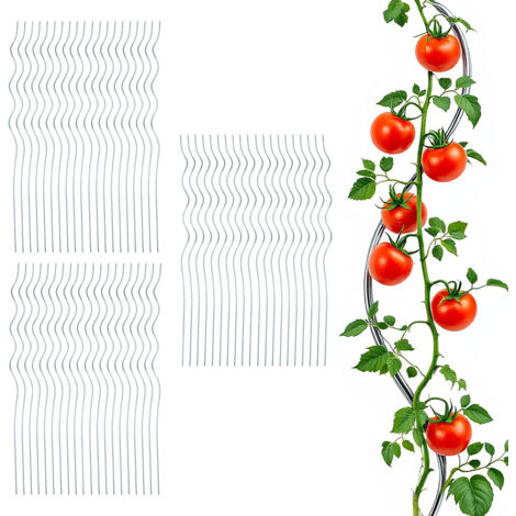 Tomaten Spiralstab verzinkt 110 cm - 60er Set - Metall Rankstab für Tomatenpflanzen