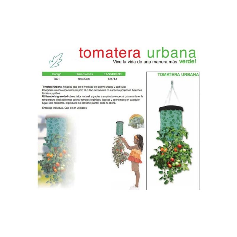 

TOMATERA URBANA - Maiol