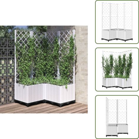 Tomates - vidaXL Jardinera con enrejado PP blanco 80x80x136 cm - Guisantes