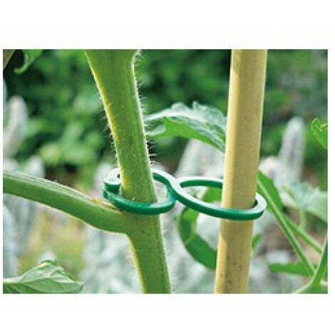 tomato clips 25 pces