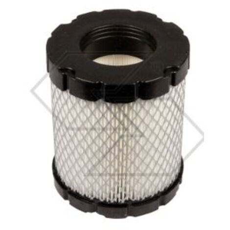 Tondeuse à filtre à air BRIGGS&STRATTON 44M977 44P977