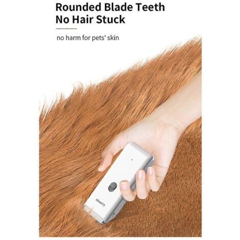 Tondeuse électrique silencieuse pour chatons et chiots, rasage professionnel vert--