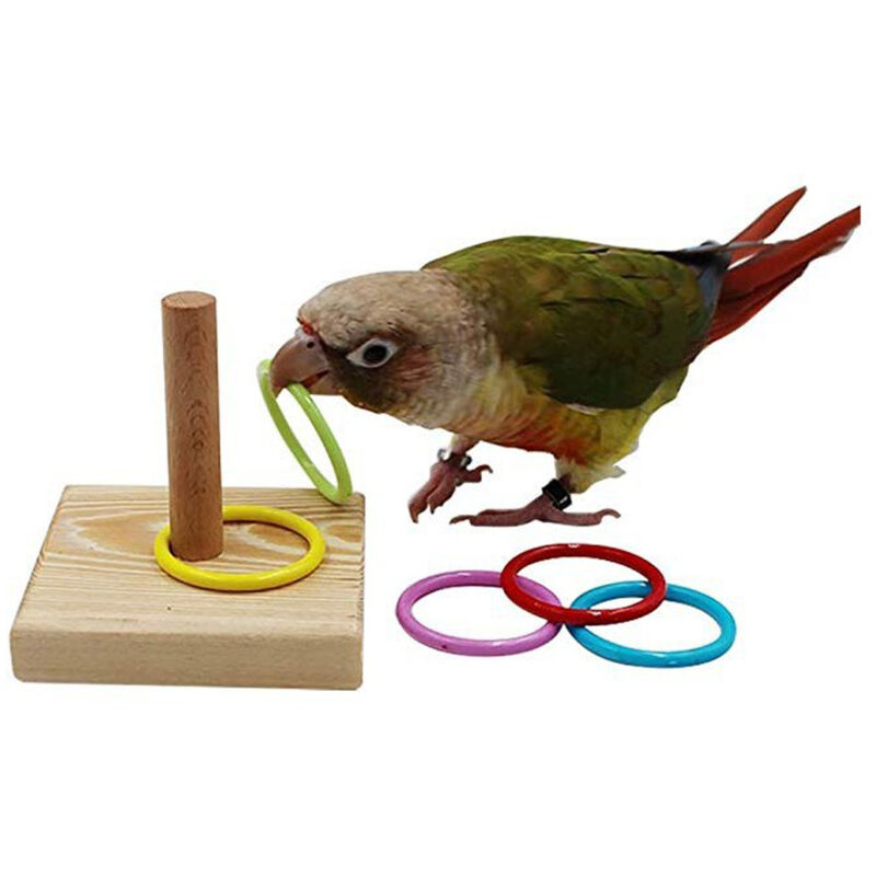 TONYSA Empilement de rognes oiseaux Toy Trick Tablet Table Top Small Anneaux pour perroquets