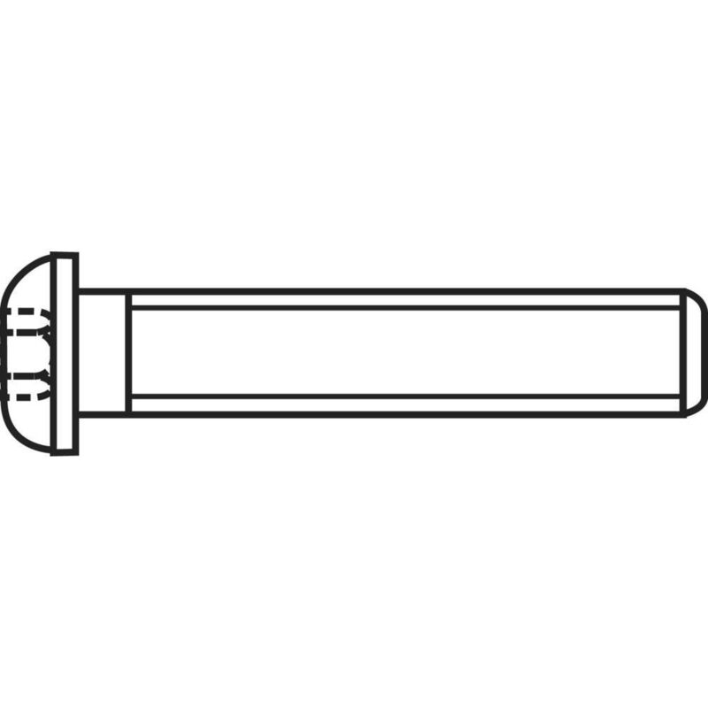 839809 Viti a testa bombata M6 20 mm Interno