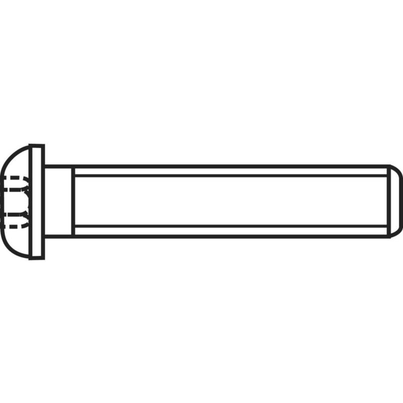 839803 Viti a testa bombata M4 30 mm Interno
