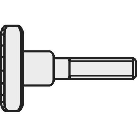 TOOLCRAFT M312 D464-5.8:A2K 194770 - VITI A VITE M3, 12 MM, DIN 464, IN ACCIAIO GALVANIZZATO, 10 PEZZI