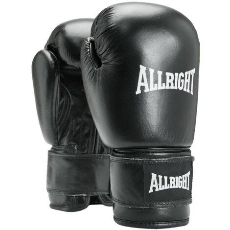 TOP PROFESSIONELLE BOXHANDSCHUHE 10 oz