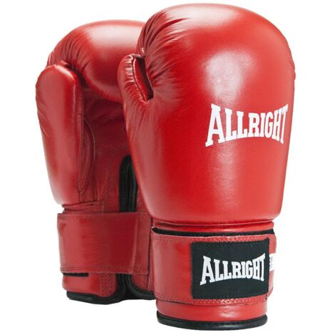 TOP PROFESSIONELLE BOXHANDSCHUHE 10 oz
