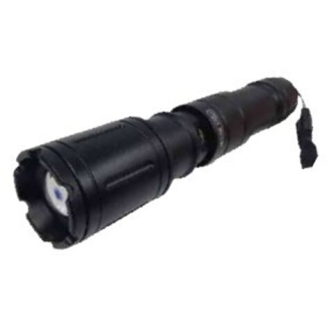 Torcia doppia alimentazione cfg argo 5w 600 lumen -el102