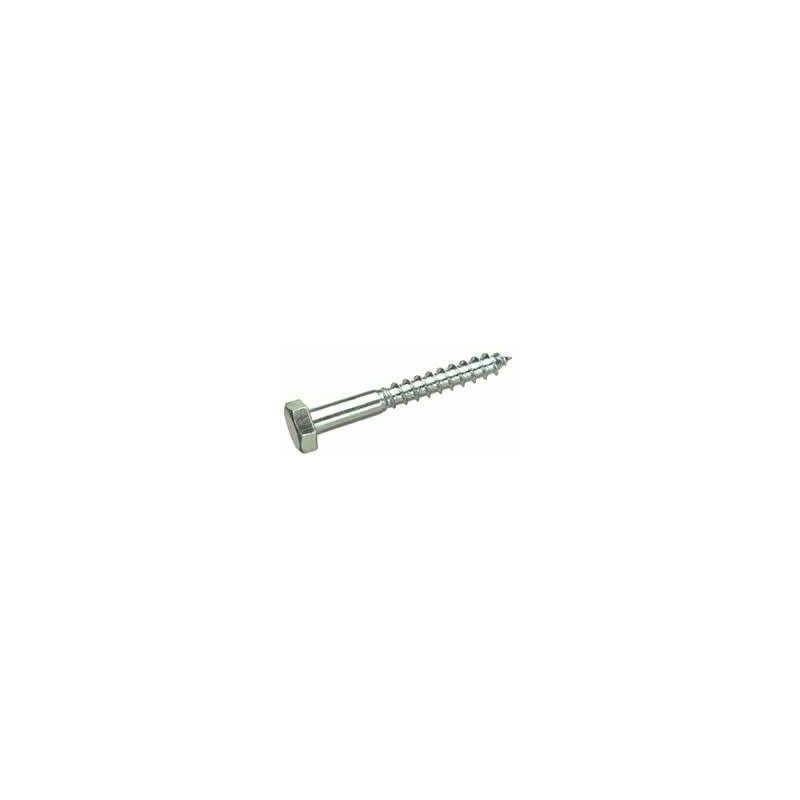 

Tornillo 571 Zn 10*200 Barraquero