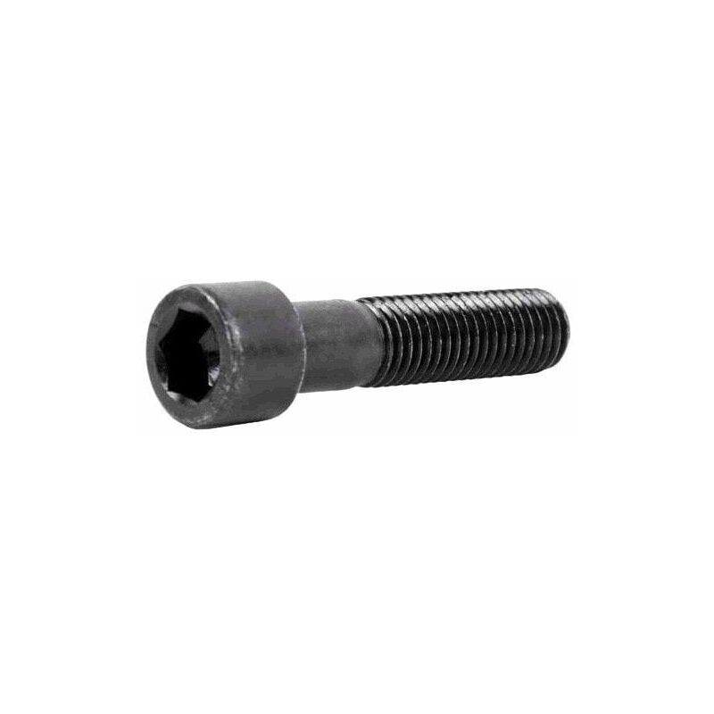 

Tornillo Allen 8.8 Din912 8X30 Pavonado C 200