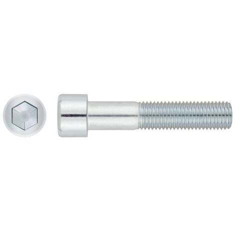 TORNILLO ALLEN DIN912 8.8 ZN - M8X120