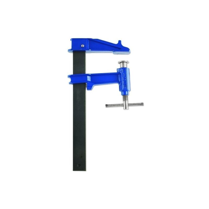 

Tornillo Apriete Prof 120x500mm F500 - Piher