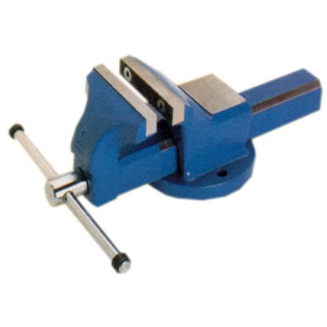 TORNILLO BANCO FCP 100 FJ - 100 MM