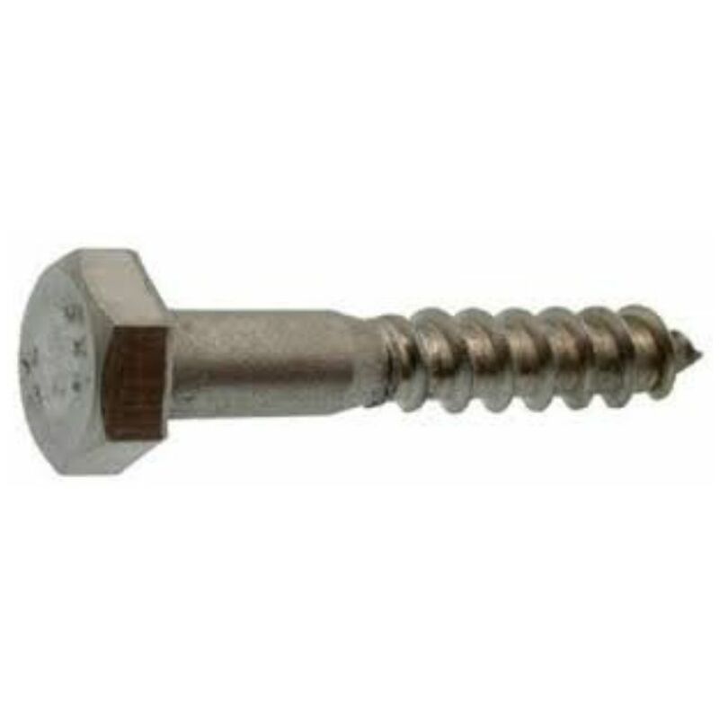 

Tornillo Barraquero 10X100 Din 571 C100