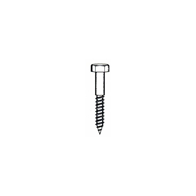 

Tornillo Barraquero 571 06x60mm Cinc Nivel 5 Pz