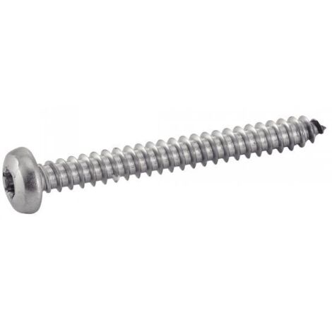 Tornillo chapa ACTON Torx cabeza plana Ø 4