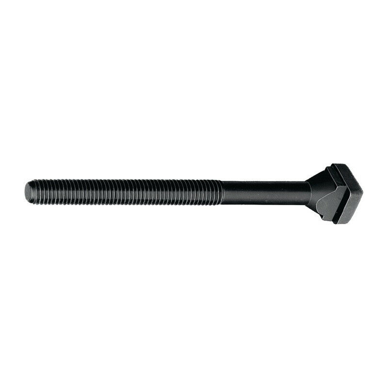 

Tornillo ranura en T DIN 787 Ranura en T 18mm M16 L.80mm calidad 8.8 - AMF