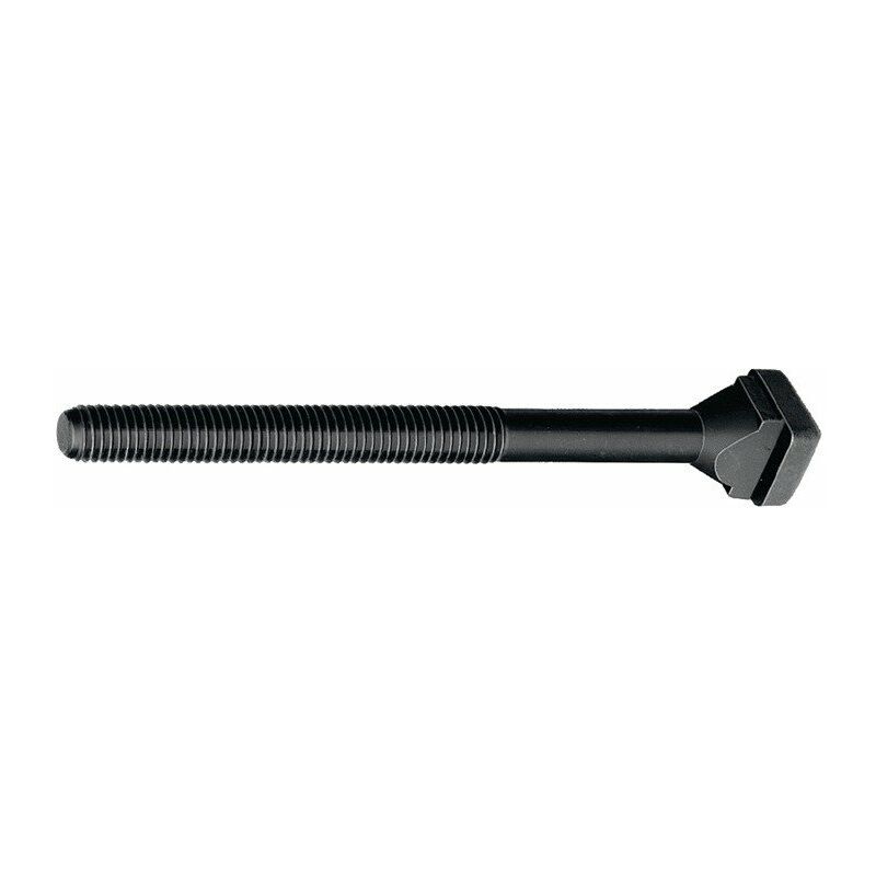 

Tornillo con ranura en T DIN 787 Ranura en T 14mm M12 L.125mm calidad 10,9 AMF