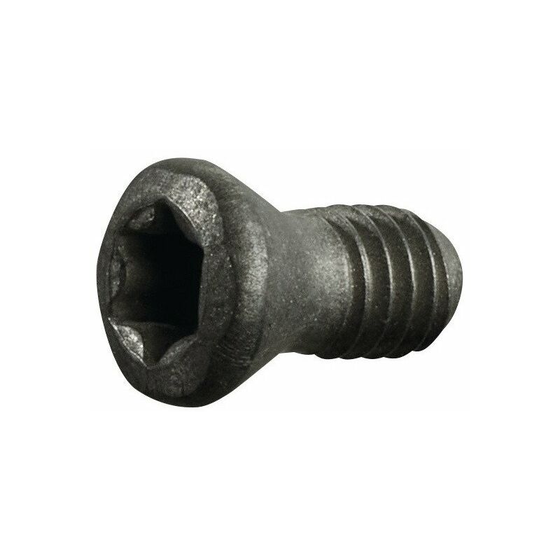 

Tornillo de apriete tamaño T7 para RDHX 0702 para fresa de plaquita redonda PROMAT