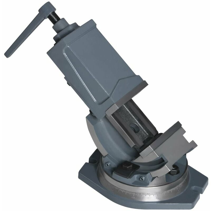 

Tornillo de banco basculante de 2 ejes 100 mm