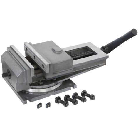 Tornillo de banco giratorio para maquina herramienta de 250 mm Fervi M024/250