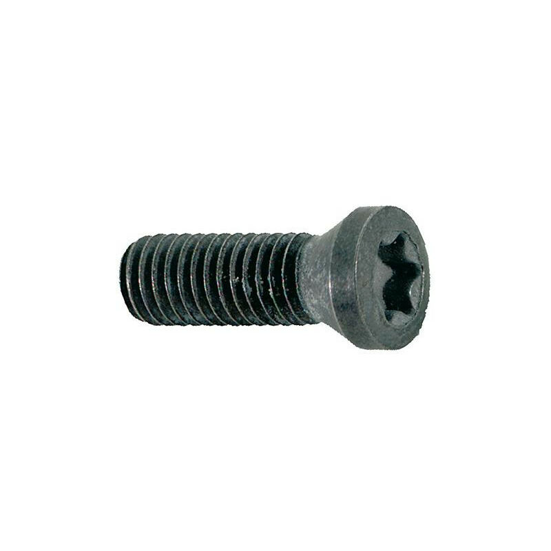 

Tornillo De Fijación Para La Inserción De M25X6 T08