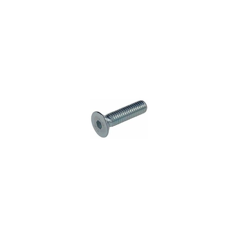 

Tornillo Allen 7991 10.9 06X016Mm Pavonado Fontana 200 Pz