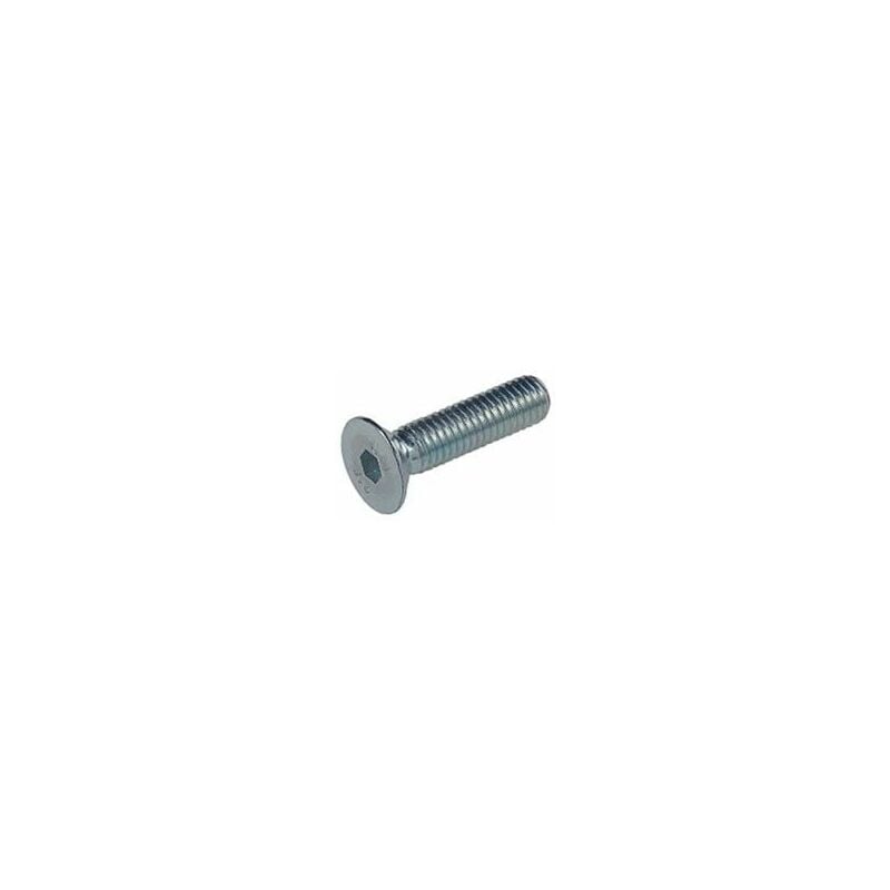 

Tornillo Allen 7991 10.9 06X020Mm Pavonado Fontana 200 Pz