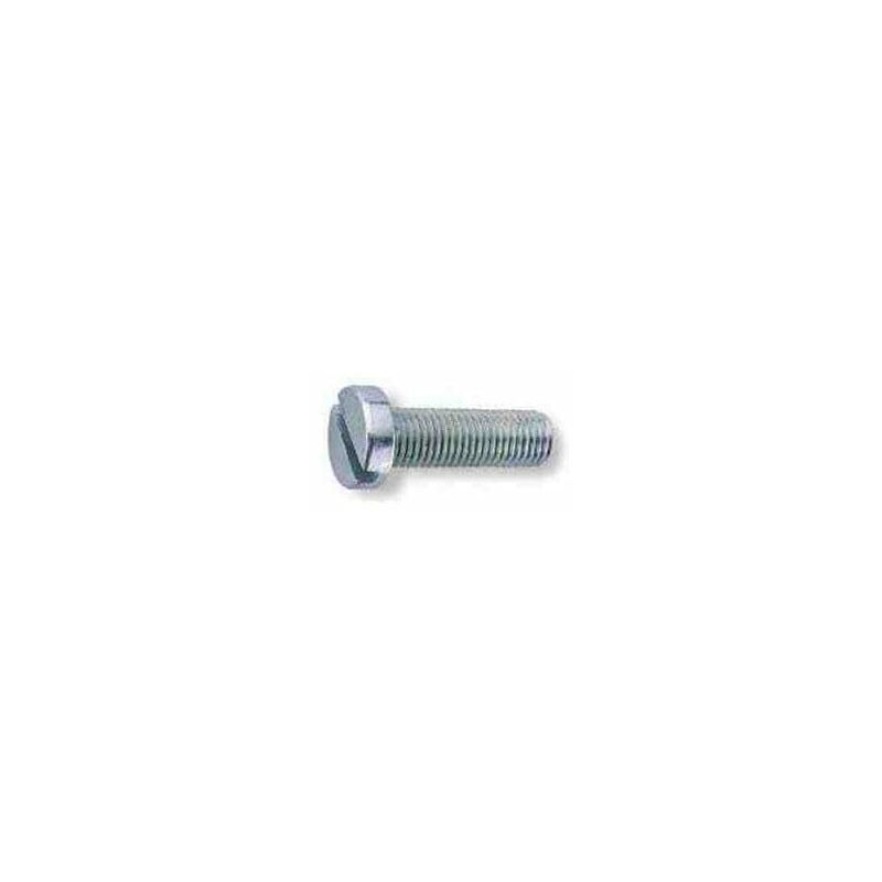 

Fontana Fasteners(gfd) - TORNILLO DIN 84 M- 5 X 35 ZN