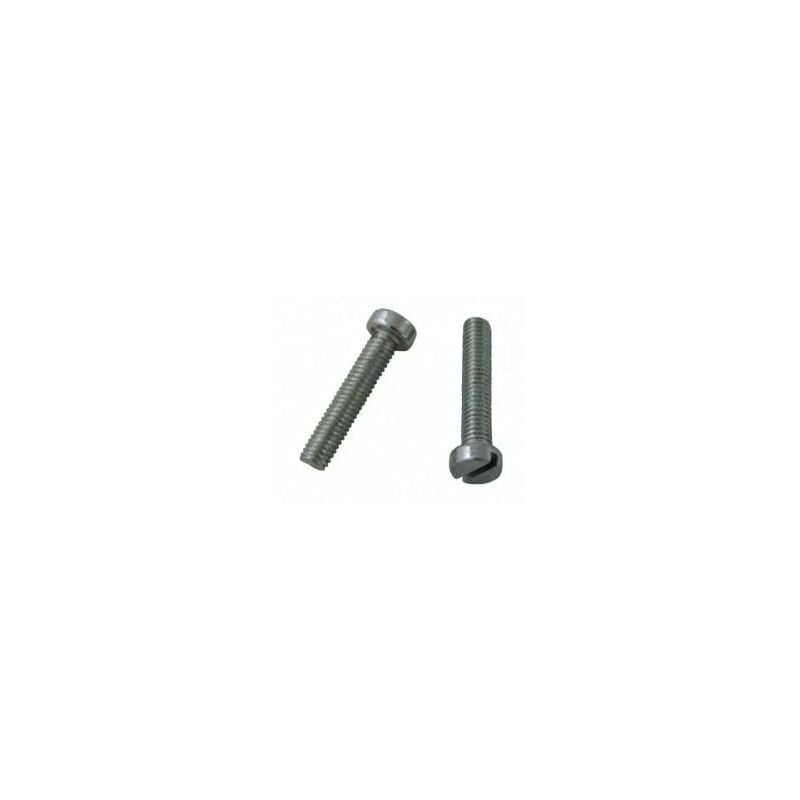 

Fontana - Tornillo Rosca Metrica Cabeza Cilindrica 06X030Mm Acero Cincado Din 84