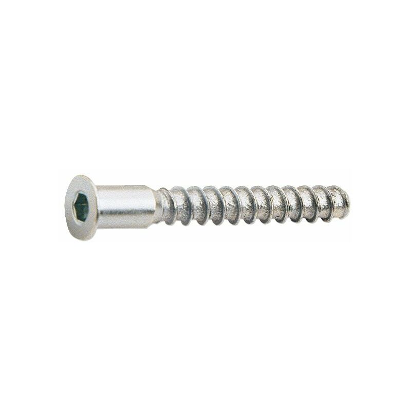 

TORNILLO ENSAMBLAR 5X50mm CINC. 6U.EHS