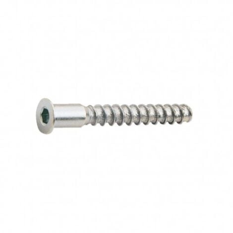 TORNILLO ENSAMBLAR 5X50MM CINC. 6U.EHS - EHLIS