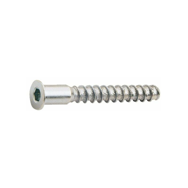 

TORNILLO ENSAMBLAR 5X50mm PAV. 6U.EHS