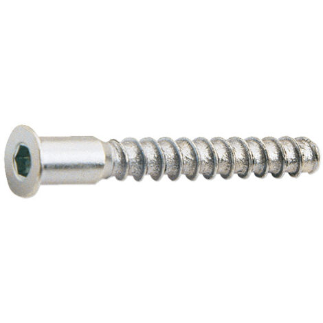 TORNILLO ENSAMBLAR 5X50mm PAV. 6U.EHS
