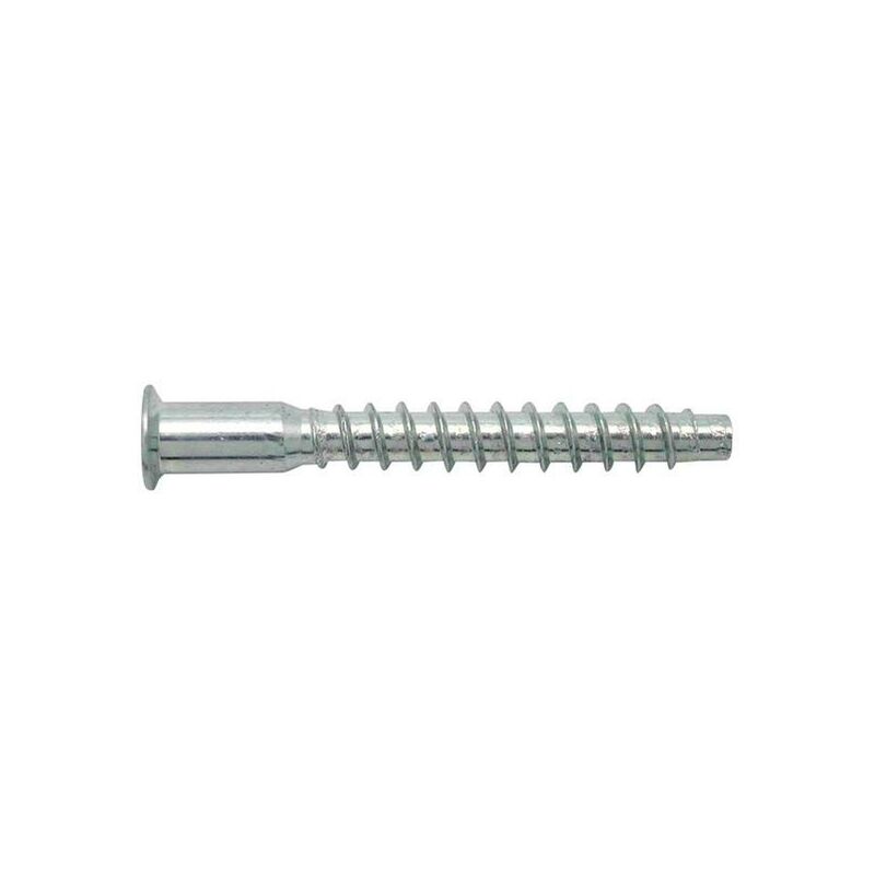 

Tornillo Ensamblar Cincado 40 Uds Fer 5 X 50 Mm