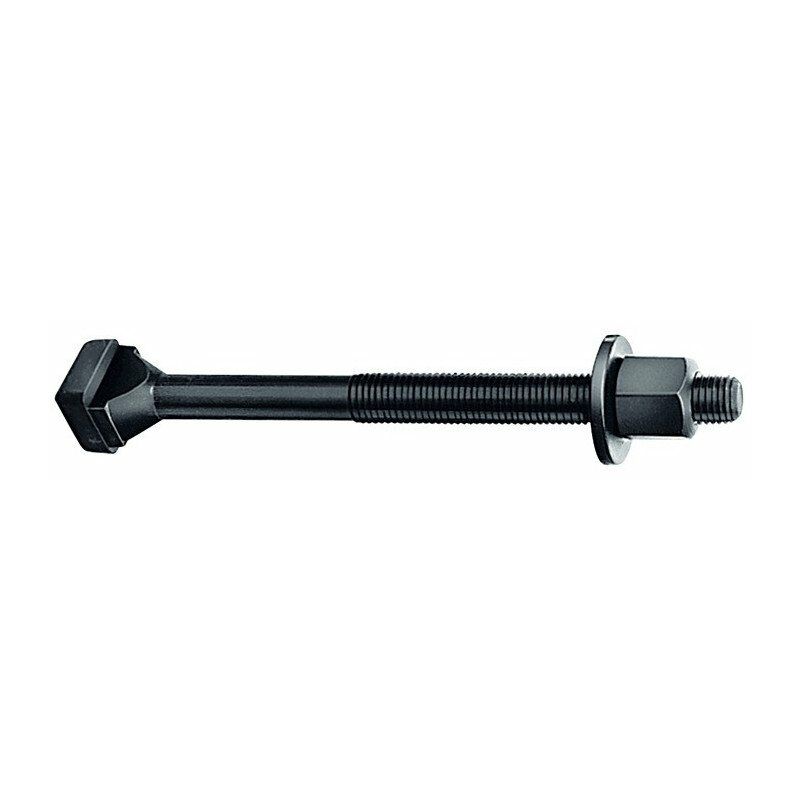 

Tornillo ranura en T DIN 787 Ranura en T 20mm M20 L.160mm calidad 8.8 con tuerca y arandela AMF