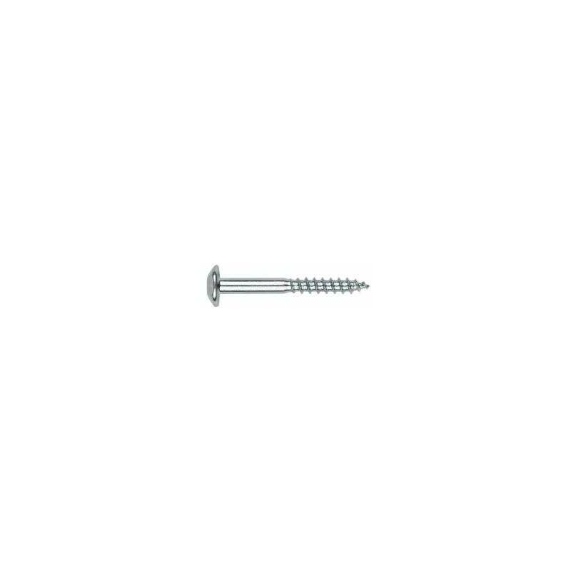

Tornillo Inviolable 6*50 Zn.