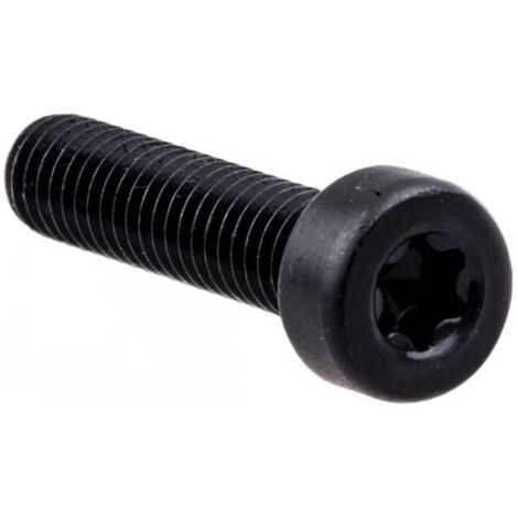 Tornillo K960 (cabeza hueca Torx interna M 6 X 25)