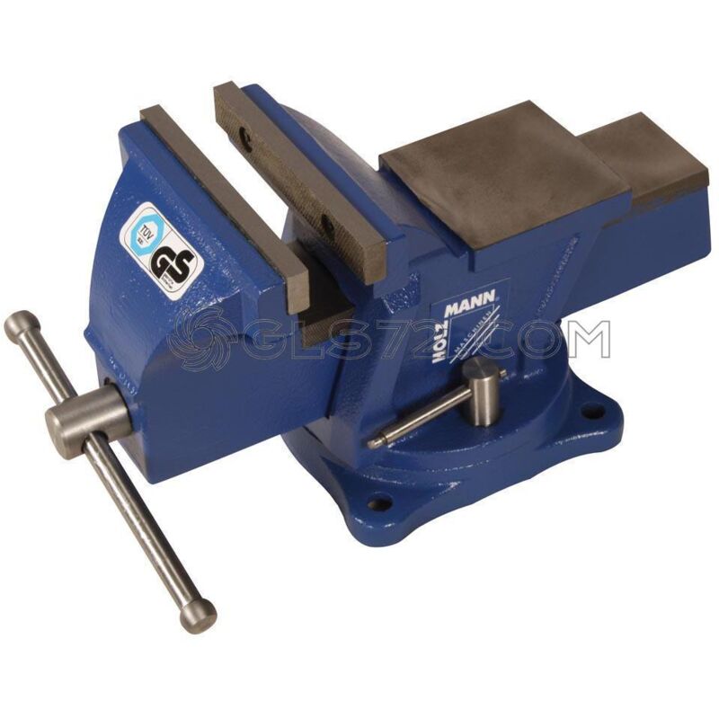 

Tornillo Morsa De Banco 125 Mm Hierro Fundido Holzmann Wbs125N