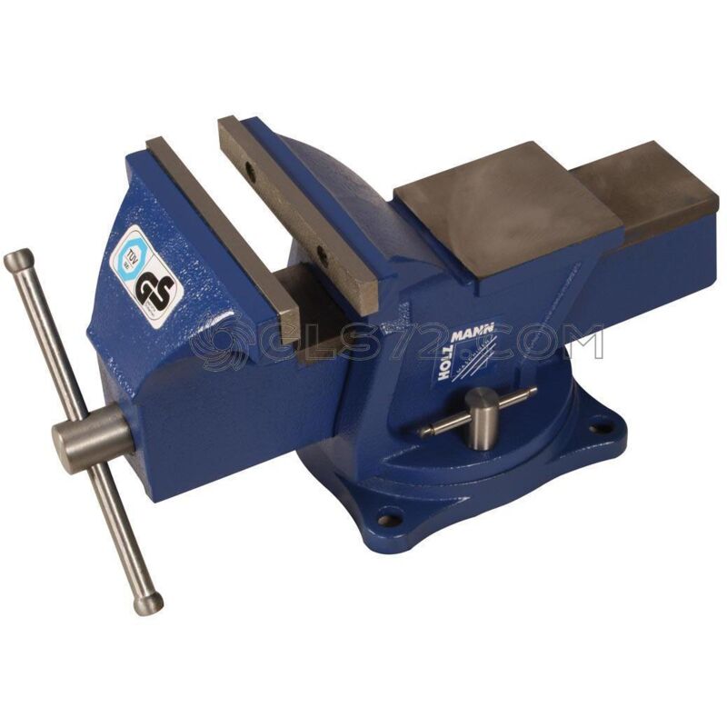 

Tornillo Morsa De Banco 150 Mm Hierro Fundido Holzmann Wbs150N
