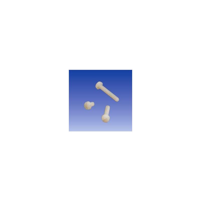 

Tornillo Nylon Metrica 3mmx10mm