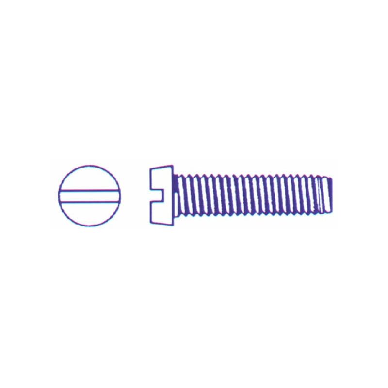 

Tornillo Din84 C/cil Ranurado M6x40