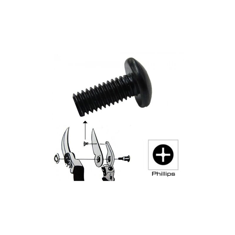 

Tornillo recambio tijera sujeción ks-4t - Samurai